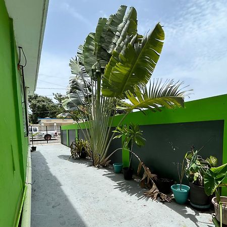 Vieques Good Vibe Guest House Ngoại thất bức ảnh