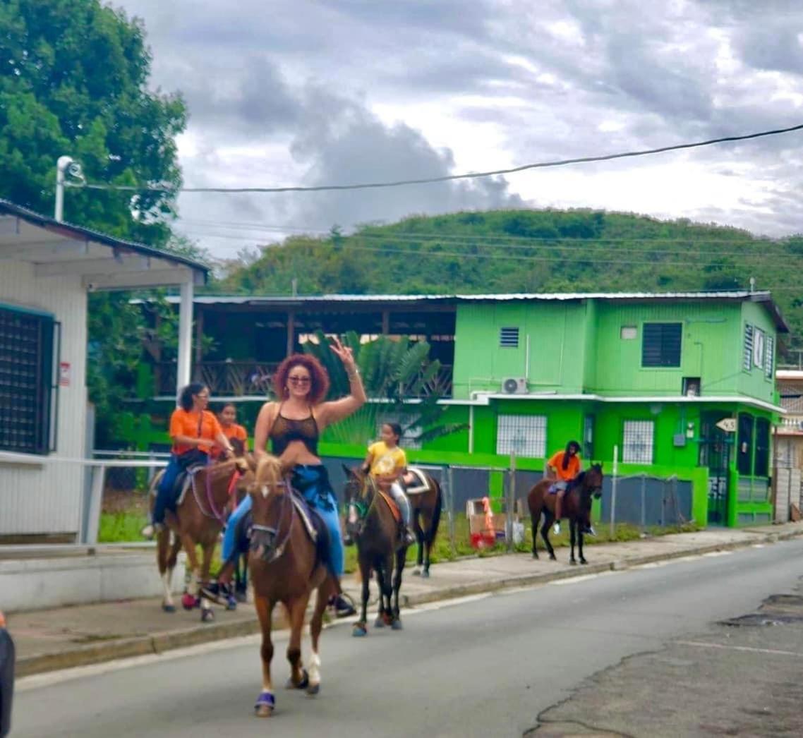 Vieques Good Vibe Guest House Ngoại thất bức ảnh