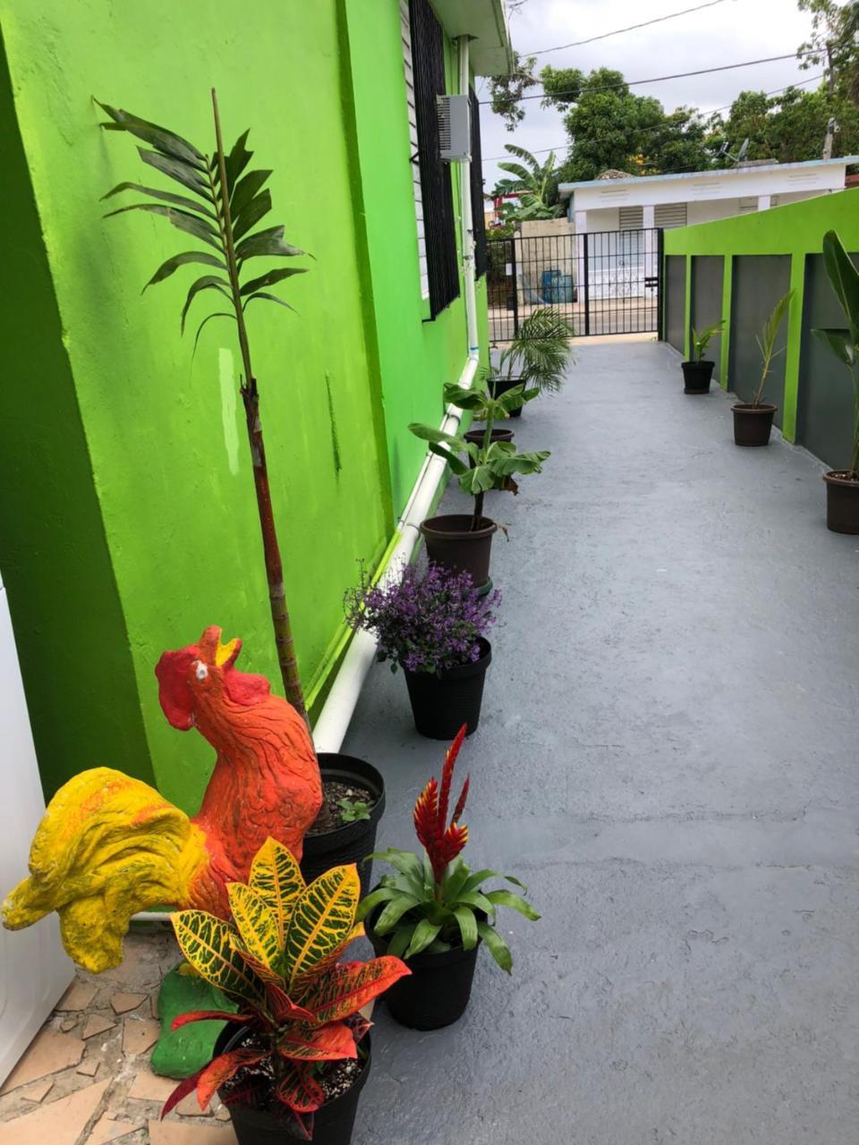 Vieques Good Vibe Guest House Ngoại thất bức ảnh